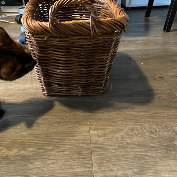 Basket nothing in it strong small enough for a closet (cat not included ) - Picture 3 of 3